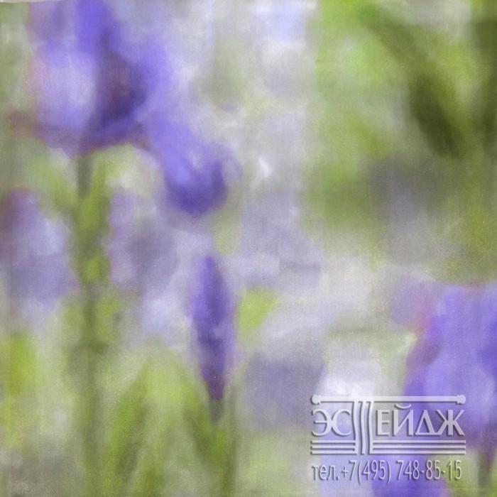 Iris 1.20 fabric